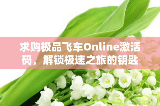 求购极品飞车Online激活码图片