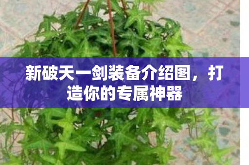 新破天一剑装备介绍图图片