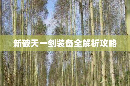 新破天一剑装备全解析攻略图片