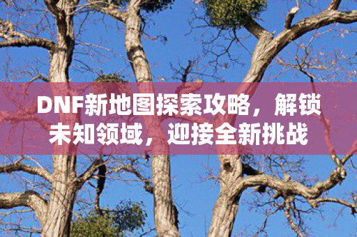 DNF新地图探索攻略,解锁未知领域,迎接全新挑战 DNF新地图探索攻略,解锁未知领域,迎接全新挑战