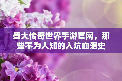 那些不为人知的入坑血泪史图片