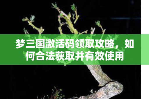 如何合法获取并有效使用图片