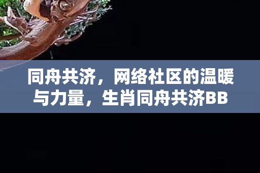 网络社区的温暖与力量图片