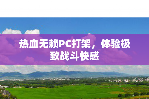 热血无赖PC打架图片