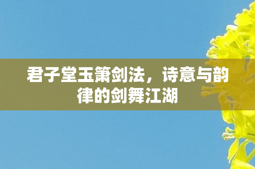 诗意与韵律的剑舞江湖图片