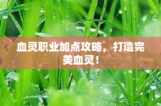 血灵职业加点攻略图片