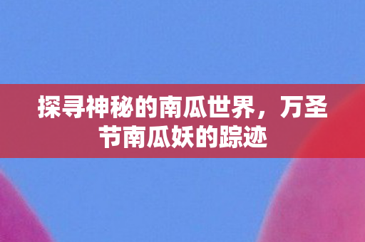 探寻神秘的南瓜世界图片