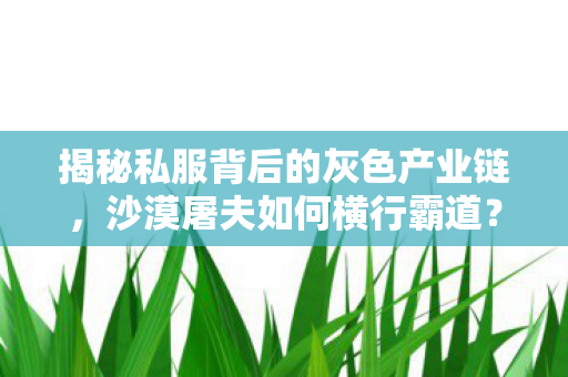 揭秘私服背后的灰色产业链图片