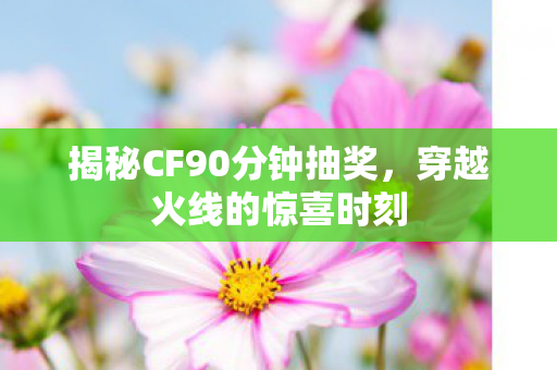 揭秘CF90分钟抽奖图片