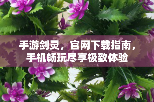 手游剑灵，官网下载指南，手机畅玩尽享极致体验