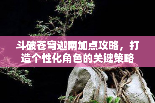 打造个性化角色的关键策略图片