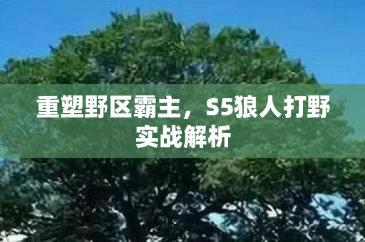 S5狼人打野实战解析图片
