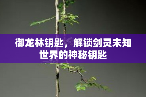 解锁剑灵未知世界的神秘钥匙图片