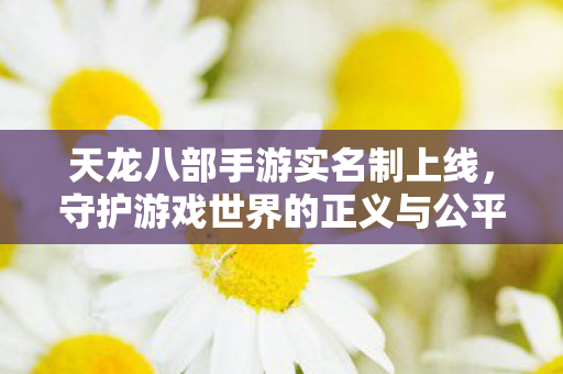 守护游戏世界的正义与公平图片