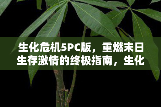 重燃末日生存激情的终极指南图片