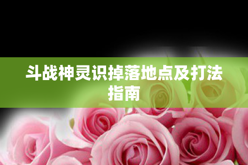 斗战神灵识掉落地点及打法指南图片