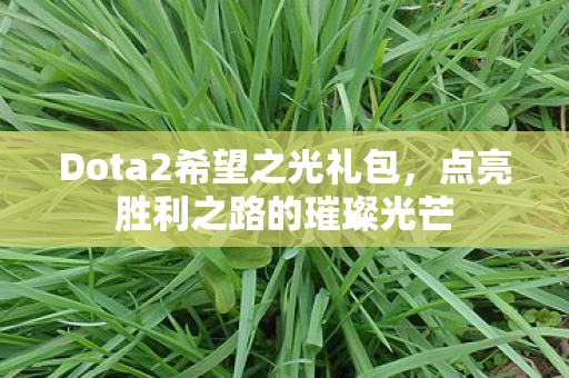 Dota2希望之光礼包图片