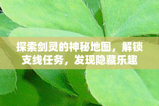 探索剑灵的神秘地图，解锁支线任务，发现隐藏乐趣