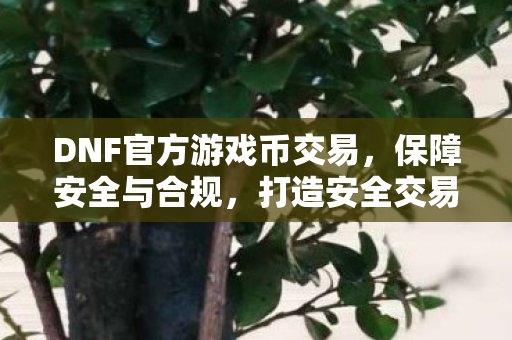 DNF官方游戏币交易,保障安全与合规,打造安全交易环境 DNF官方游戏币交易,保障安全与合规,打造安全交易环境