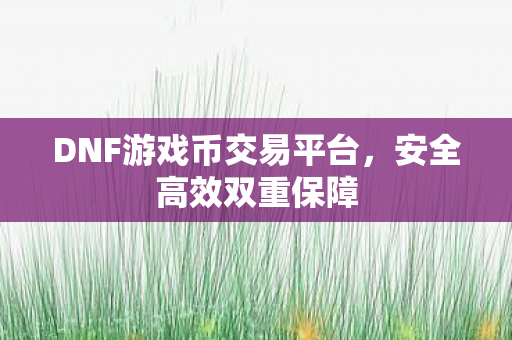DNF游戏币交易平台,安全高效双重保障 DNF游戏币交易平台,安全高效双重保障