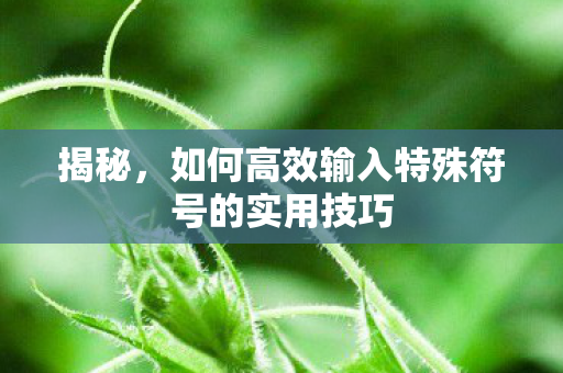 如何高效输入特殊符号的实用技巧图片
