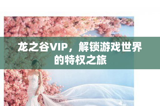 解锁游戏世界的特权之旅图片