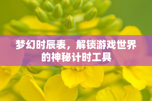 解锁游戏世界的神秘计时工具图片