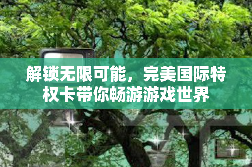 完美国际特权卡带你畅游游戏世界图片