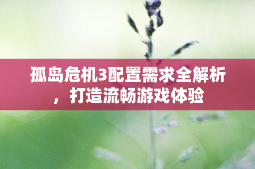 孤岛危机3配置需求全解析图片