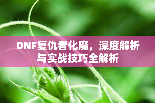 深度解析与实战技巧全解析图片