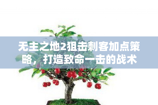 无主之地2狙击刺客加点策略图片