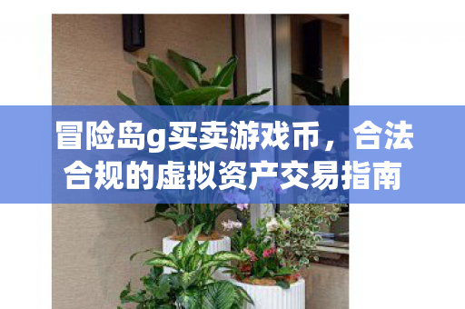 合法合规的虚拟资产交易指南图片