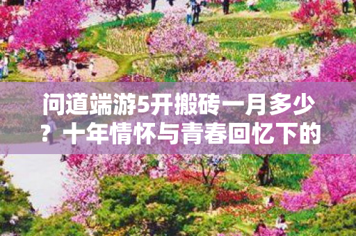 十年情怀与青春回忆下的实测认证解答图片