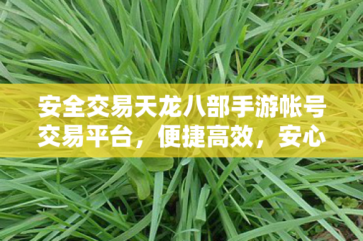 安全交易天龙八部手游帐号交易平台图片