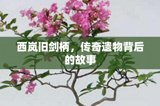 传奇遗物背后的故事图片