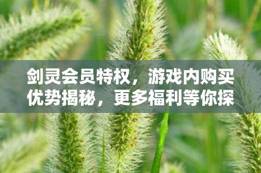 游戏内购买优势揭秘图片