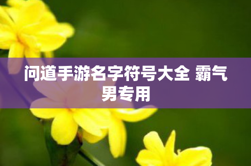 问道手游名字符号大全 霸气男专用图片