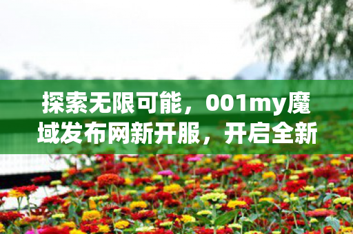 001my魔域发布网新开服图片