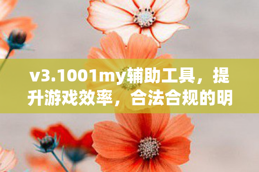 1001my辅助工具图片