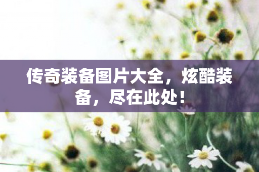 传奇装备图片大全图片