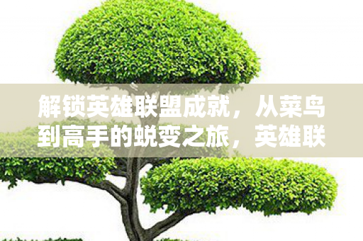从菜鸟到高手的蜕变之旅图片