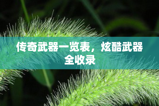 传奇武器一览表图片