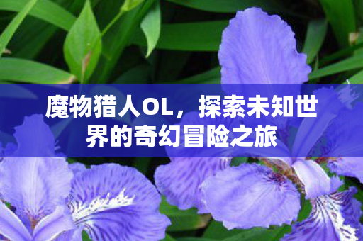 探索未知世界的奇幻冒险之旅图片