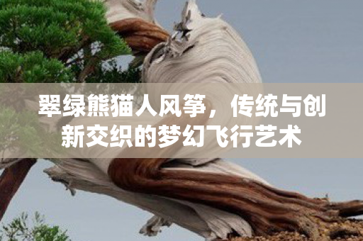 传统与创新交织的梦幻飞行艺术图片