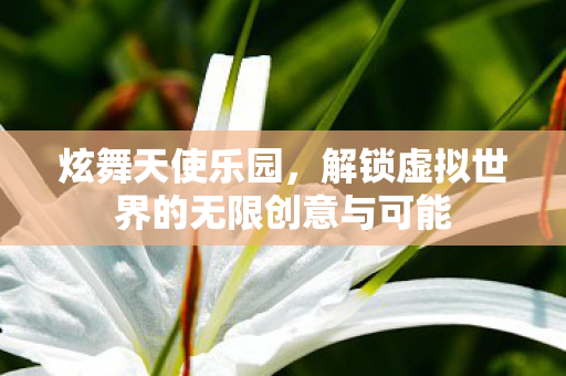 解锁虚拟世界的无限创意与可能图片