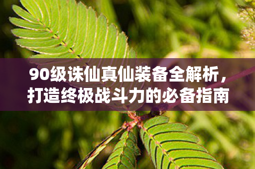 90级诛仙真仙装备全解析图片