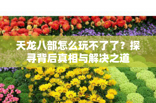 天龙八部怎么玩不了了?探寻背后真相与解决之道 天龙八部怎么玩不了了?探寻背后真相与解决之道