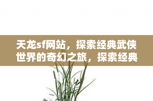 天龙sf网站，探索经典武侠世界的奇幻之旅，探索经典武侠世界的奇幻之旅，天龙sf网站
