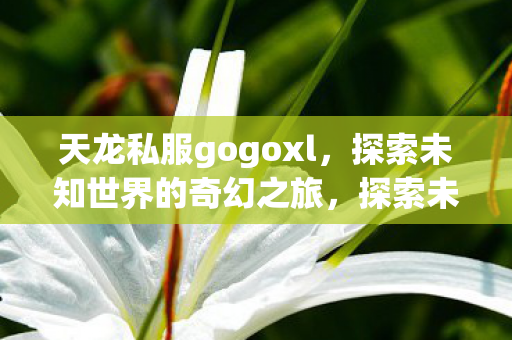 天龙私服gogoxl,探索未知世界的奇幻之旅,探索未知世界的奇幻之旅,天龙私服gogoxl 天龙私服gogoxl,探索未知世界的奇幻之旅,探索未知世界的奇幻之旅,天龙私服gogoxl