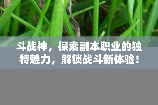 探索副本职业的独特魅力图片